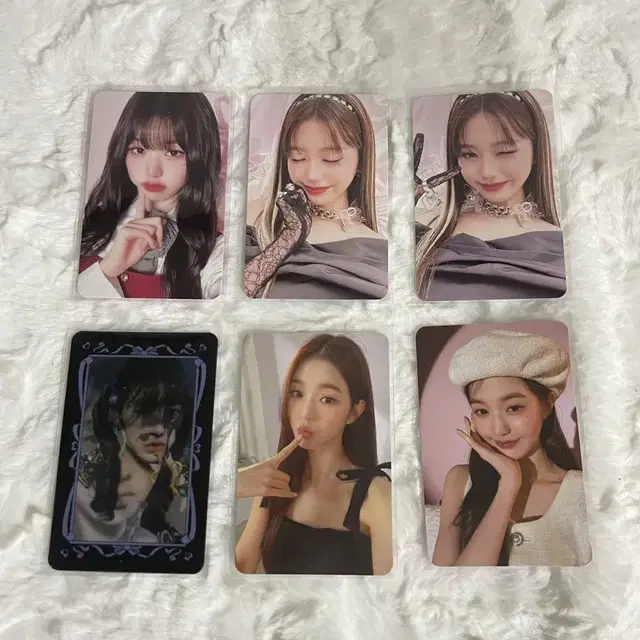 아이브 포카 일괄 판매