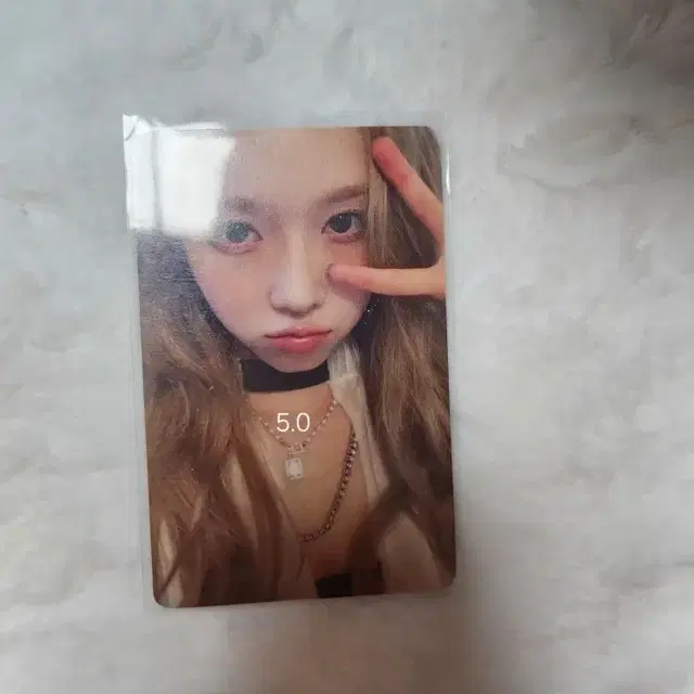 윈터 포카