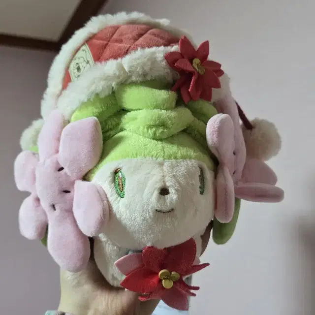 크리스마스 한정 쉐이미