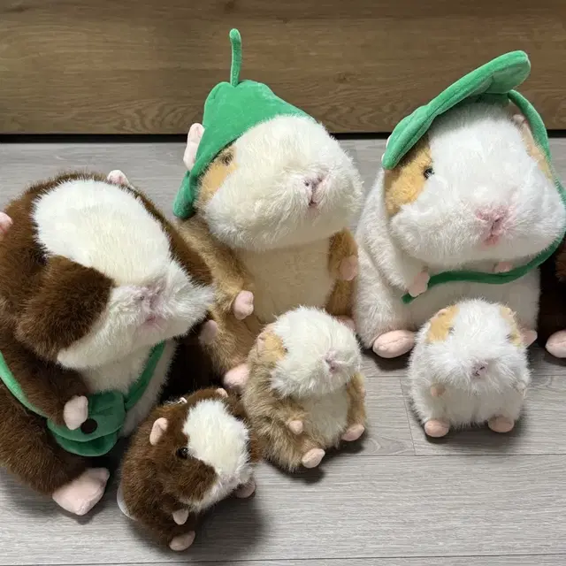 모루못토상 중형+키링인형 세트