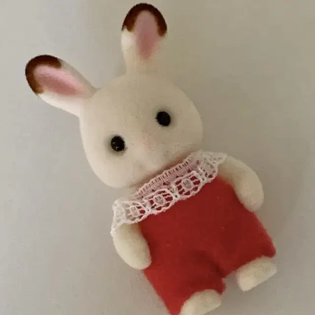 실바니안 초콜릿 토끼