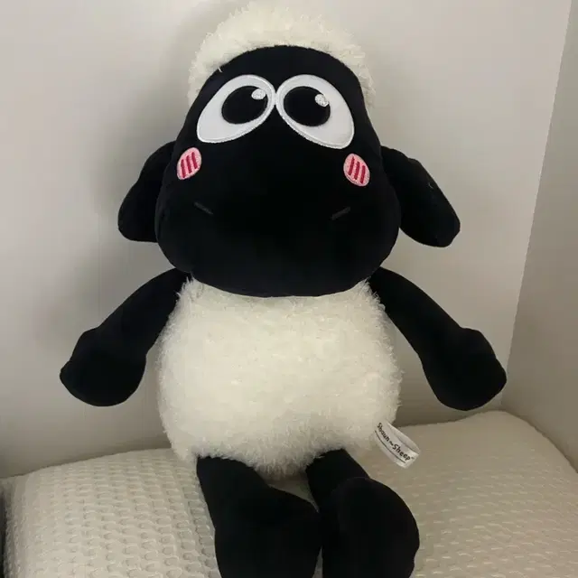 그로밋 숀더쉽 인형