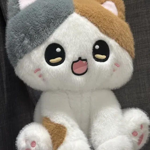 고양이 인형