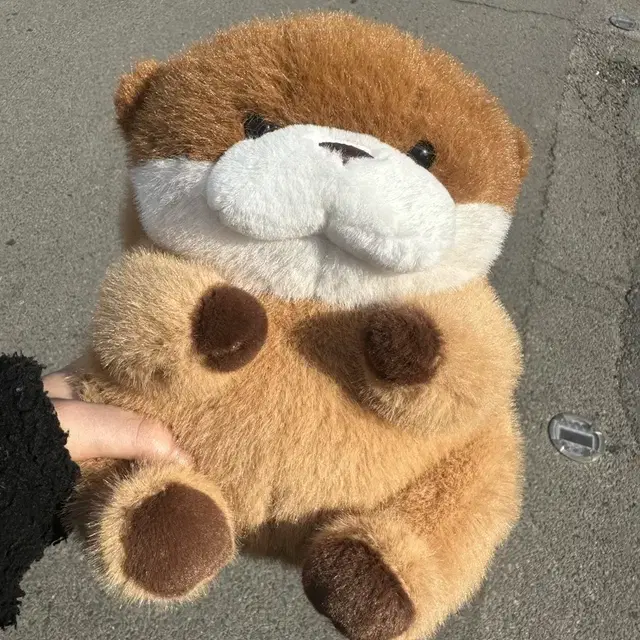 우소우소짱