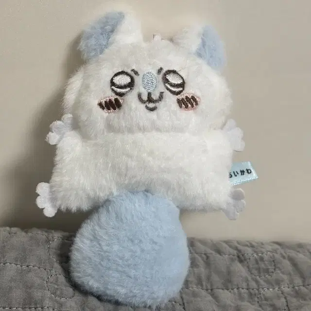 모몽가
