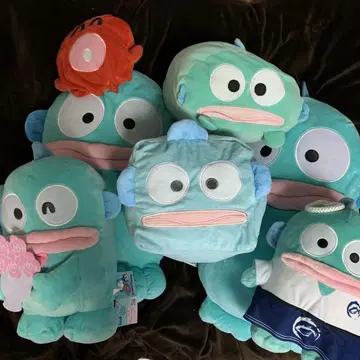 한교동 6종 세트