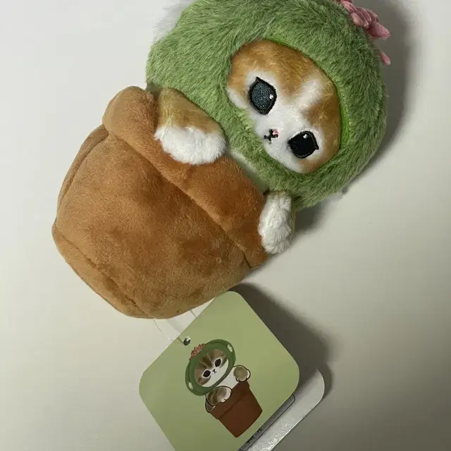 모프샌드 선인장 인형 고양이