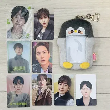 규현 트레이딩 카드