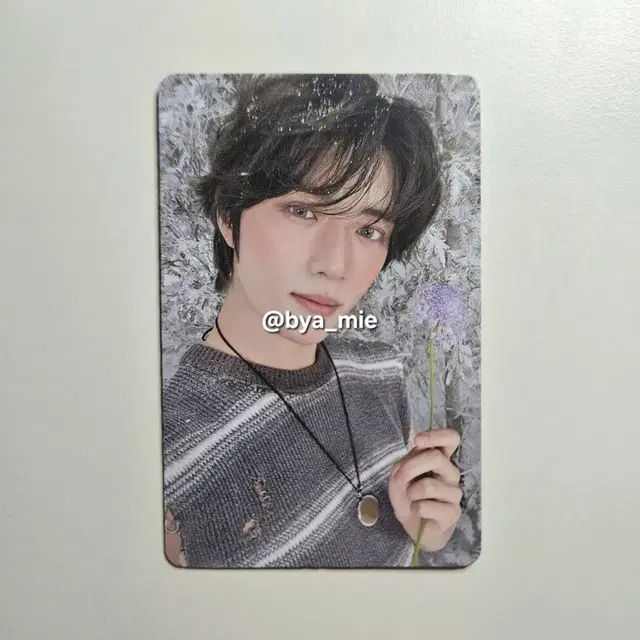 투바투 치카이 재팬 팝업 범규 포카 양도 판매 수빈연준태현휴닝