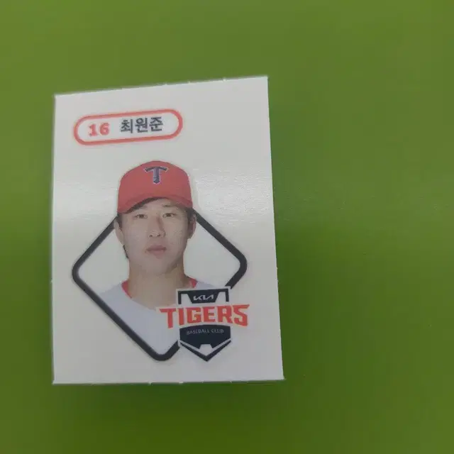 최원준 띠뿌실