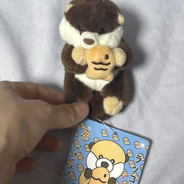 붕어빵 비버인형