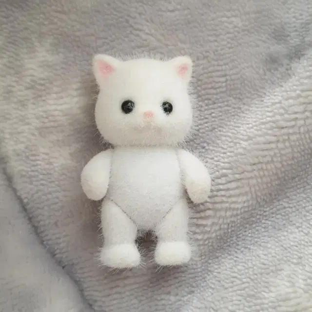 실바니안 페르시안 직립