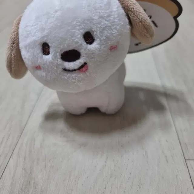 라이즈 인형 10cm 원가양도합니다. 18,000