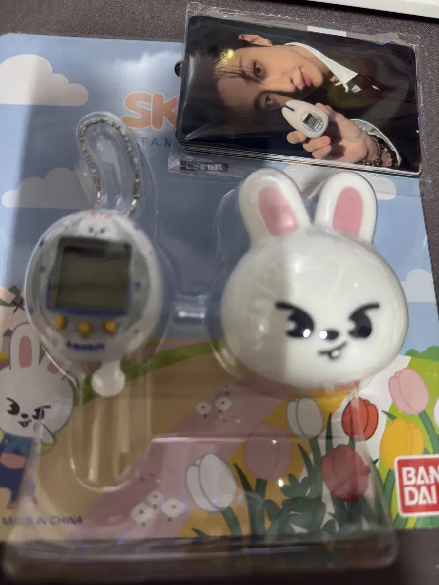 스키주 리빗 다마고치