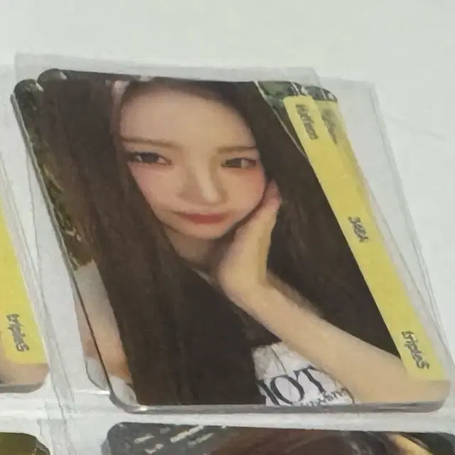 하연 발대식 2EA
