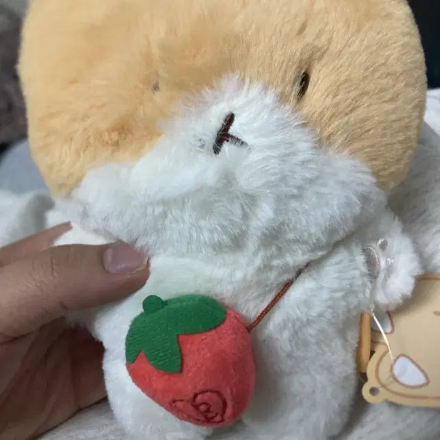 백현 터래기 20cm