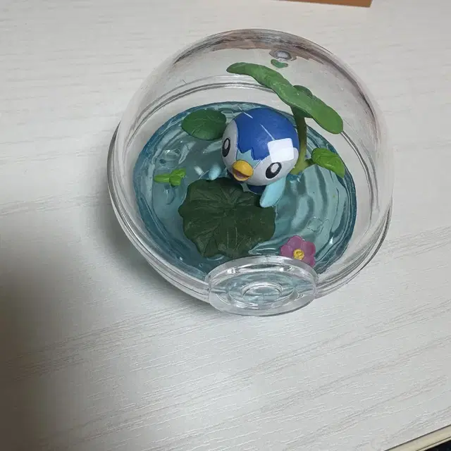 포켓몬 펭도리 리멘트 판매