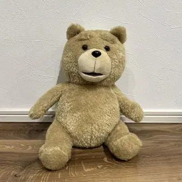 TED 테드 봉제 인형