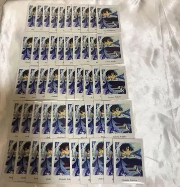 앙스타 파샤츠 히요타카호쿠토 50매 세트