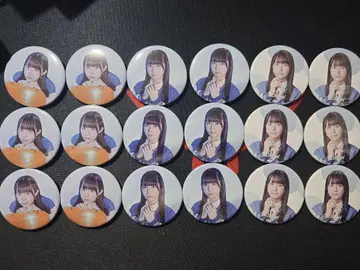 bang dream 캔뱃지 히나 히메미야 18점