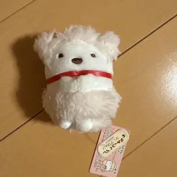 스미코구라시 테니리 봉제 인형 흰 곰