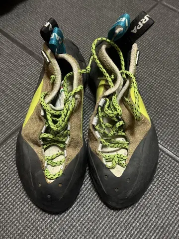 스컬파 (SCARPA) Maestro mid 마에스트로 미드