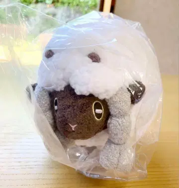 택 포함 새상품 울 봉제 인형 포켓몬 센터