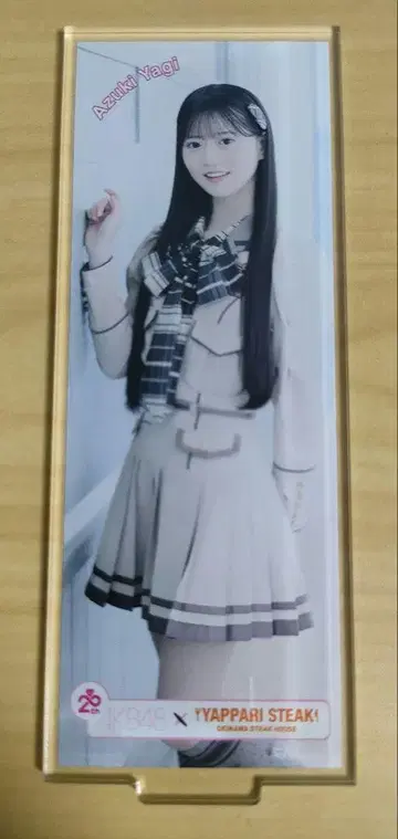 야기 아이즈키 아크릴 스탠드 역시 스테이크 AKB48