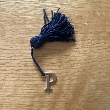 피아제의 시간 조정 핑