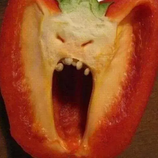 페라가모 간치니 클러치 백 판매