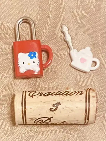 키티 자물쇠 포트