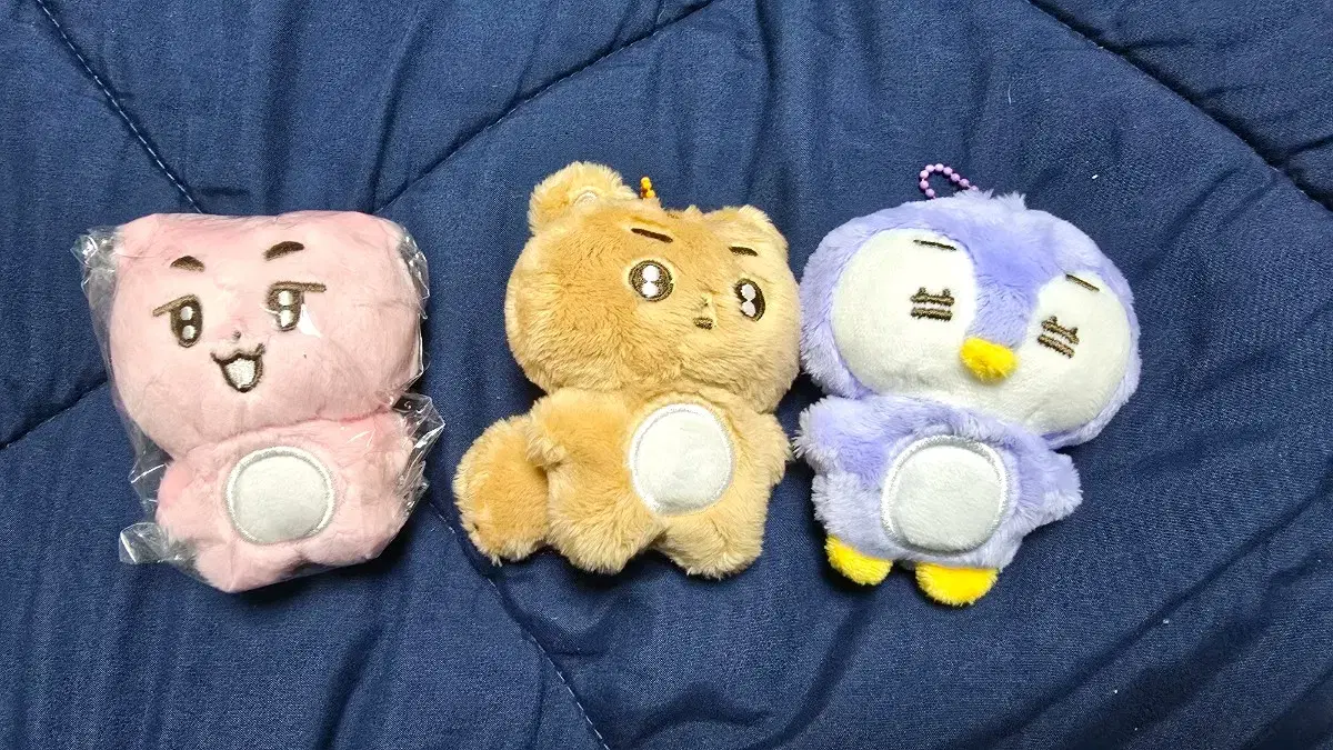 뽀바투 양도 뽀송텬 말랑쭌 말랑닝(급처