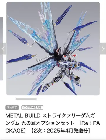 METAL BUILD 빛의 날개
