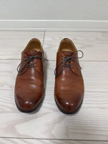 파드로네 더비 플레인토 40 브라운 상자 없음
