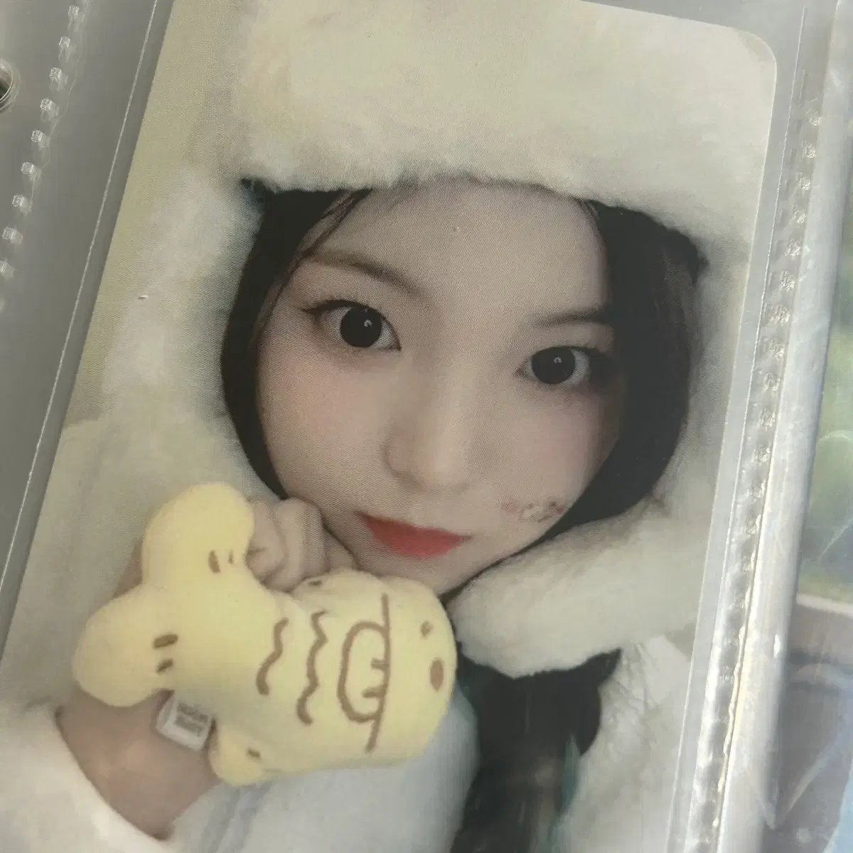 세이마이네임 승주 포토카드 양도 붕어빵 헬로라이브 1집 미공포 분철