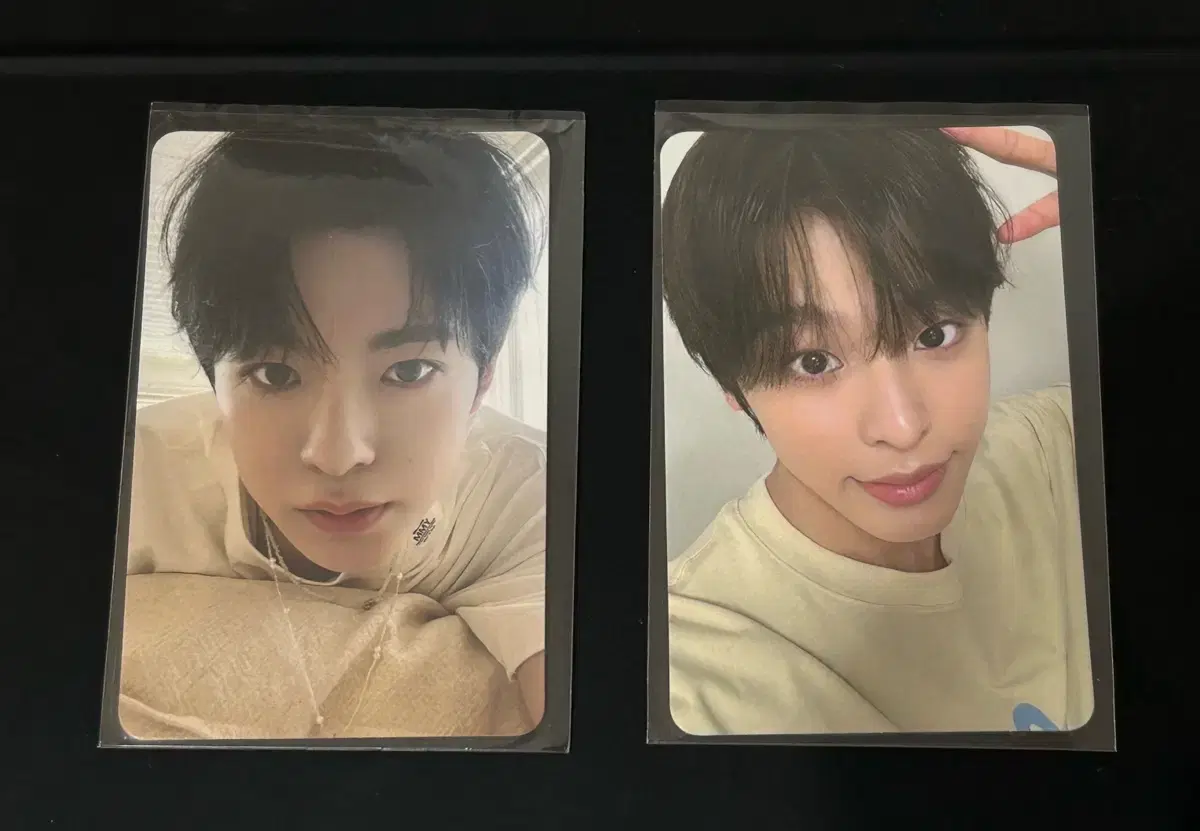 엔시티 위시 스테디 팝업 특전 포카 리쿠 유우시 nct wish