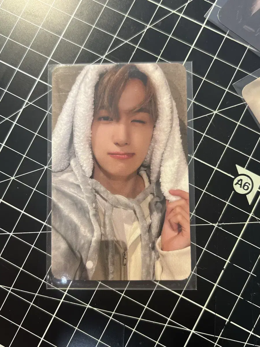 jaehyun hyunjae Rabbit Poca