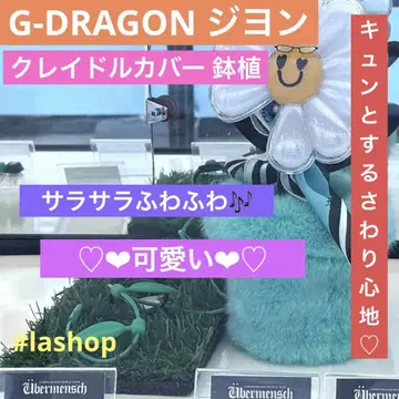 G-DRAGON 지용 클레이 커버 화분