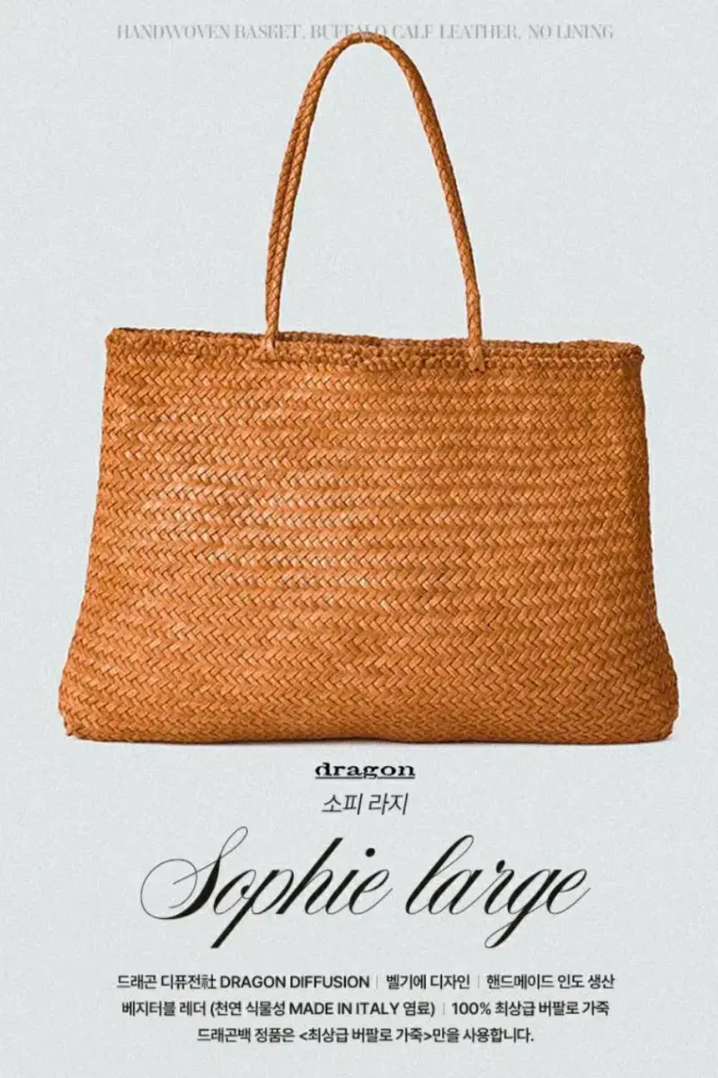 Dragon Diffusion Dragon Bag Sophie Large Tan Color