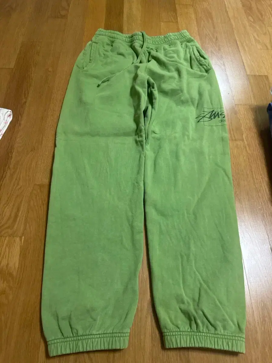 Stussy pants