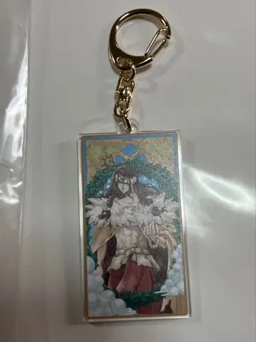 Dr.STONE 타로 카드풍 트레이딩 아크릴 키링 사자왕 시