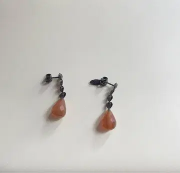 아쉬 페 프랑스 Wouters & Hendrex 귀걸이