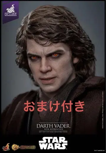 핫토이즈 아나킨 다스 베이더 HOT TOYS SWCJ 아티산