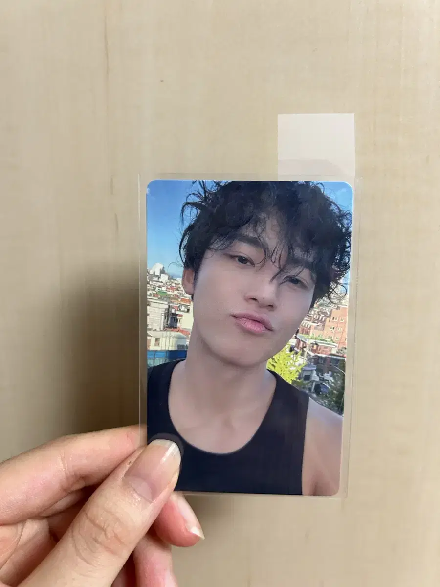급처)세븐틴 회장한정 민규 정한원우호시분철이즈위캐럿존