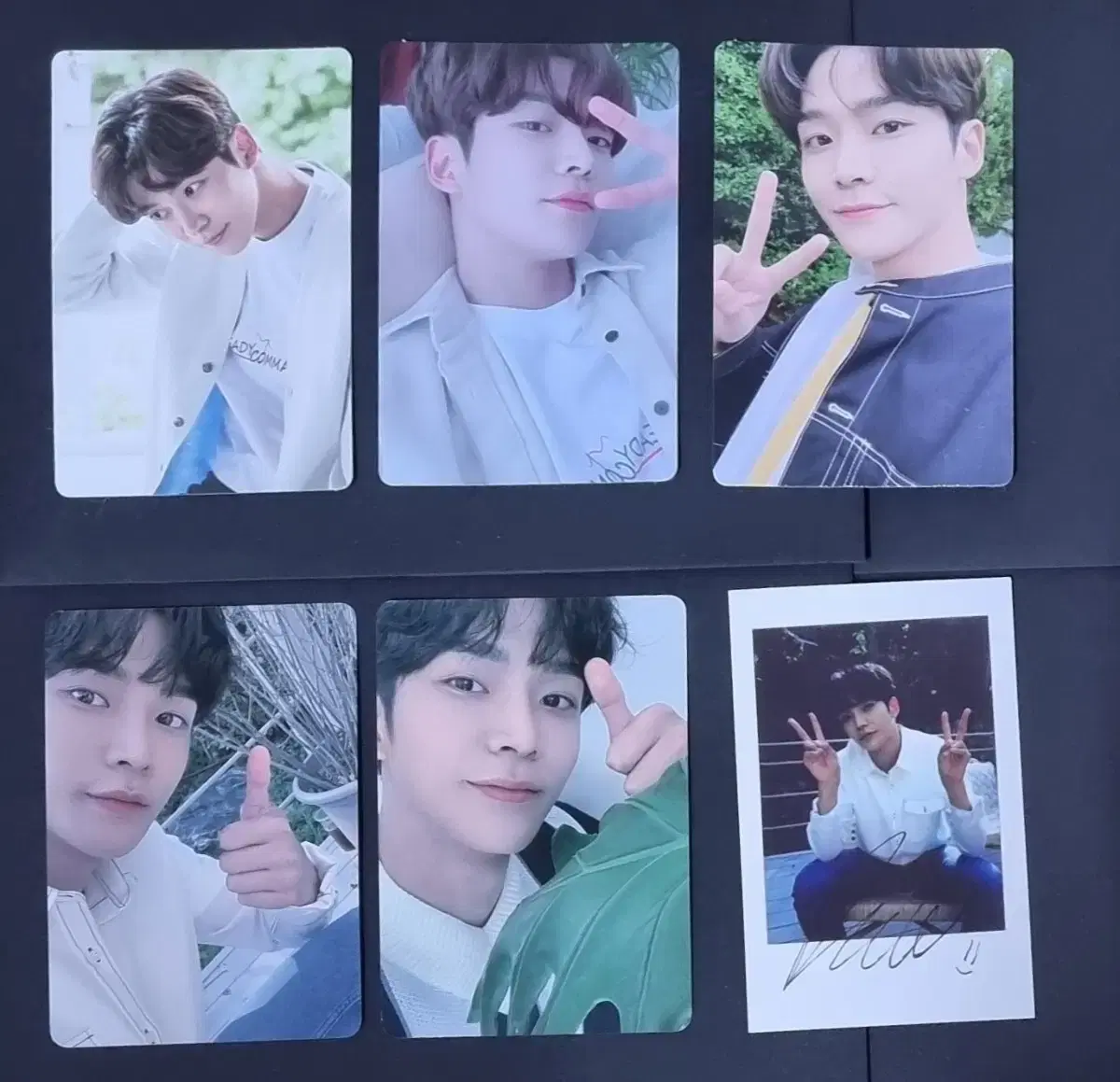 SF9 로운 포카 일괄