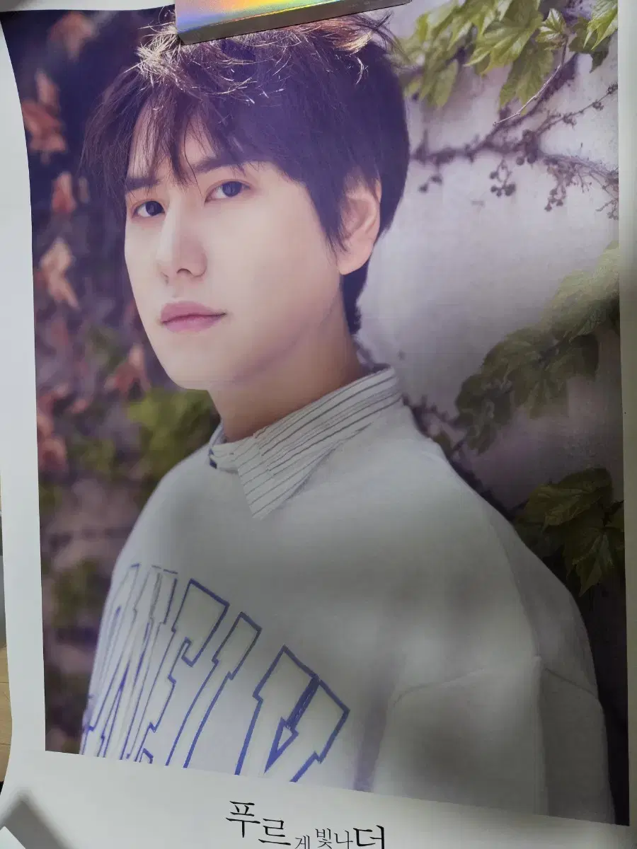슈퍼주니어 KRY 포스터 무하자 하자없음