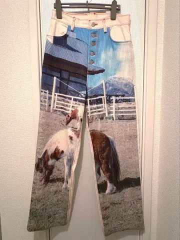 osa kentaro 포니 프린트 팬츠 23aw