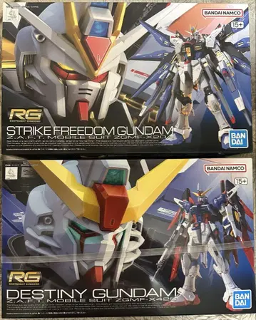 RG 스트라이크 프리덤 + 데스티니 건담