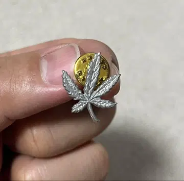 Weed 마리화나 빈티지 핑 할리데이비슨 BUCO AMA