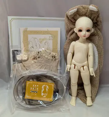 로젠 리드 화요일의 아이 기본 베이지 일반 피부